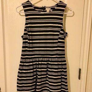 J.Crew Sleeveless Dress